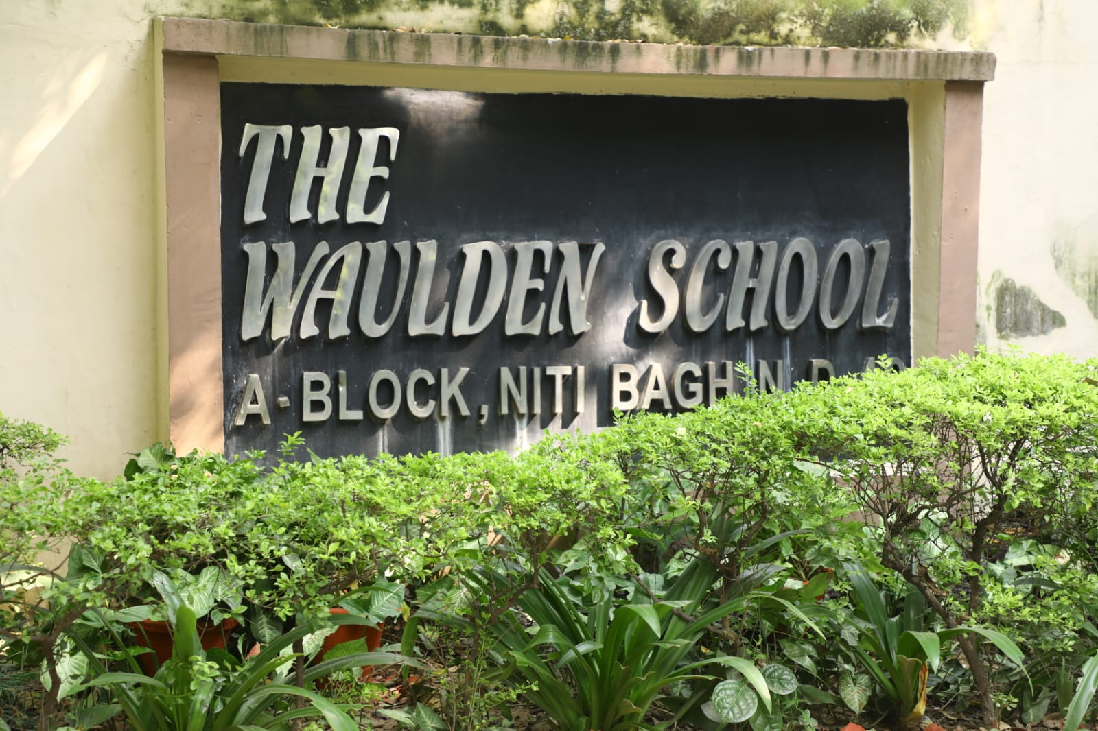 Best Pre School The Waulden buddies